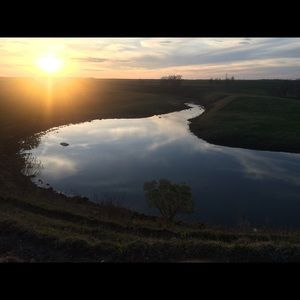 Meet your Posher, Torrey